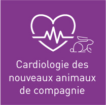 icone cardiologie NAC