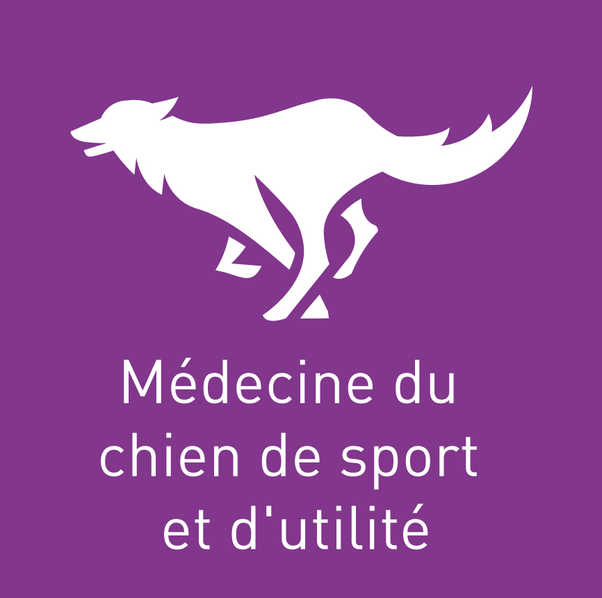 icone chien de sport