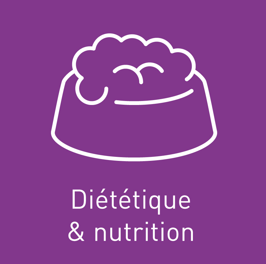 icone diététique et nutrition