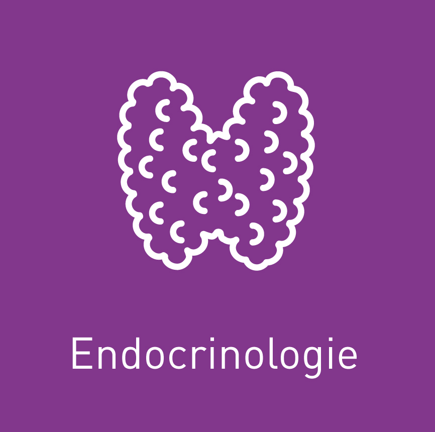 icone endocrinologie