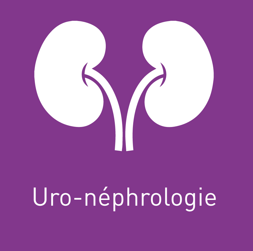 icone uro néphrologie