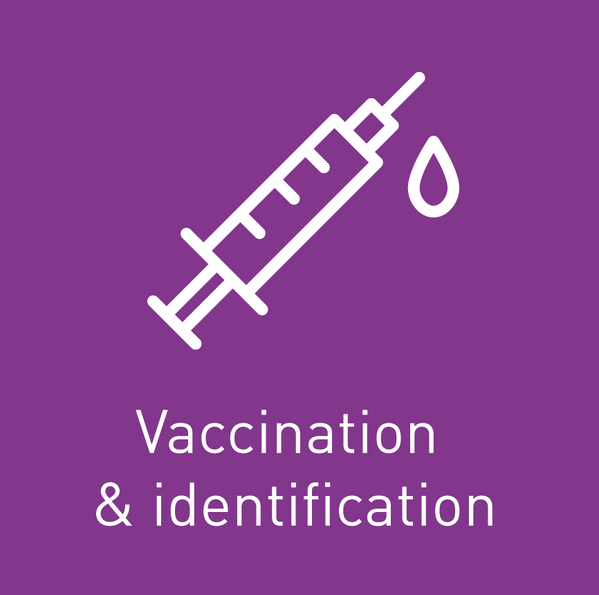 icone vaccination