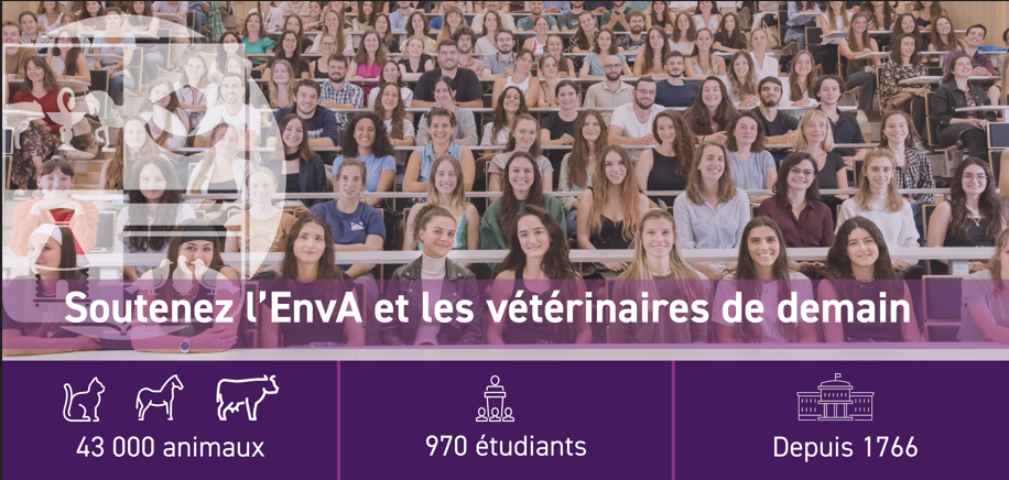 2025 Campagne TA