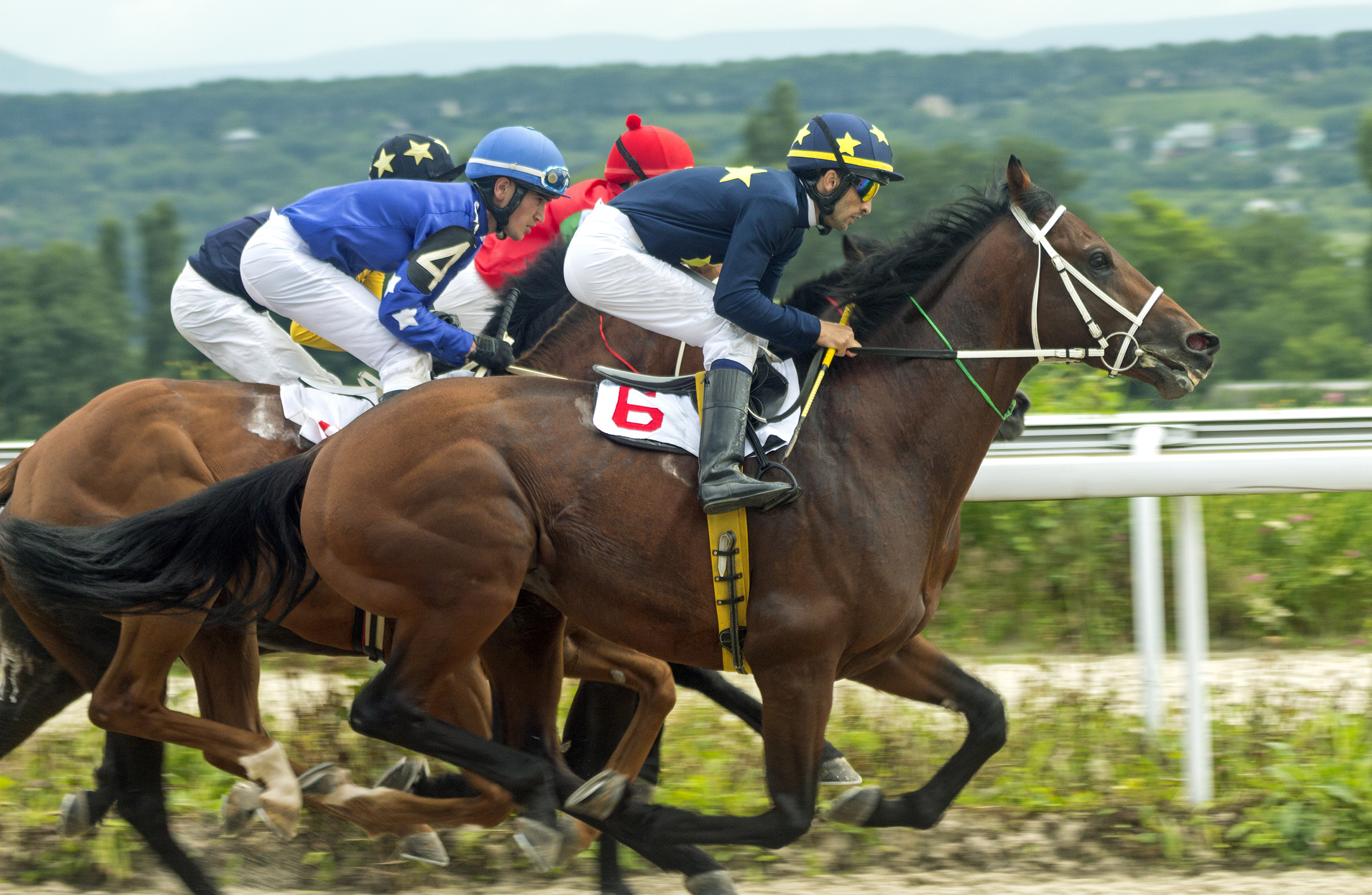 Horse race for the traditional prize Oaks in Pyatigorsk,the largest in Russia.