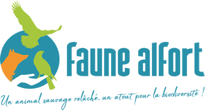 logo fa baseline 2021 entete