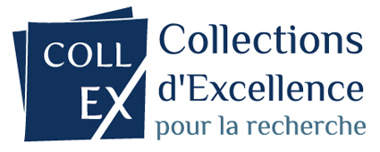 collex logo horizontal couleurs
