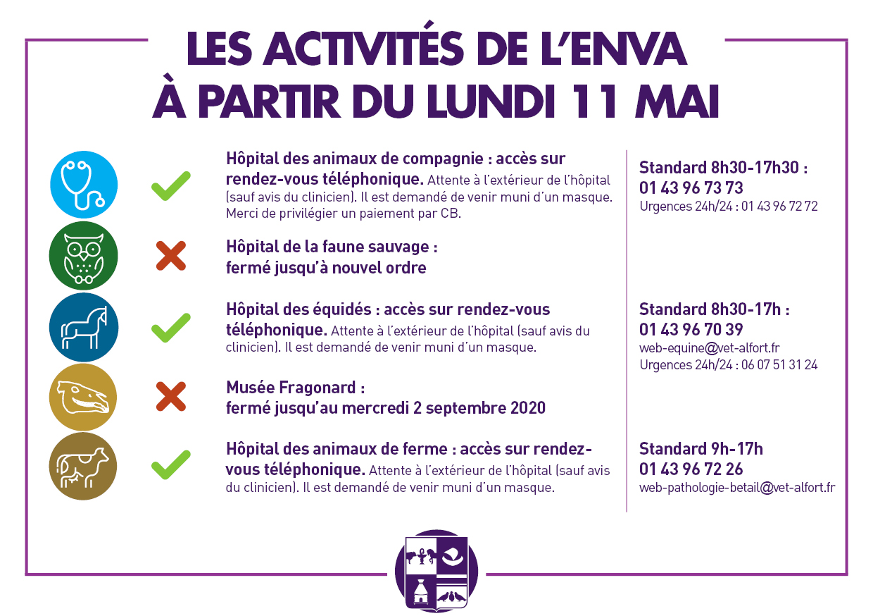 2020 03 13 TEMPLATE covid 11 mai