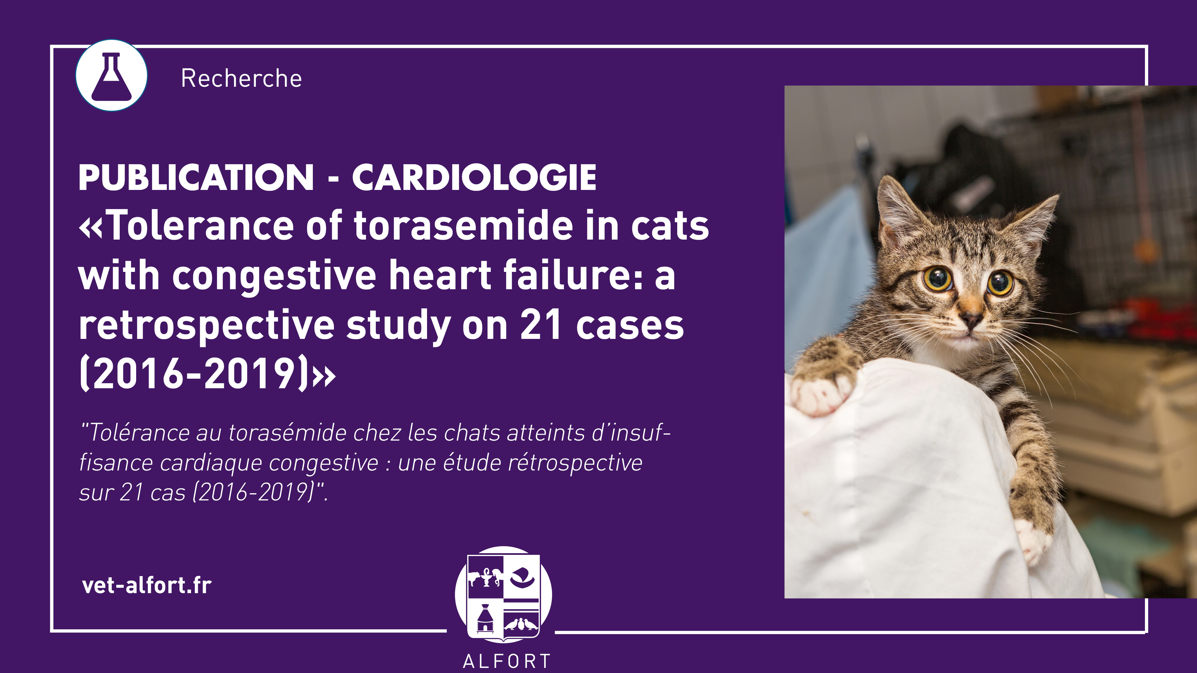 Publication Mieux Prendre En Charge L Insuffisance Cardiaque Congestive Chez Le Chat Actualites