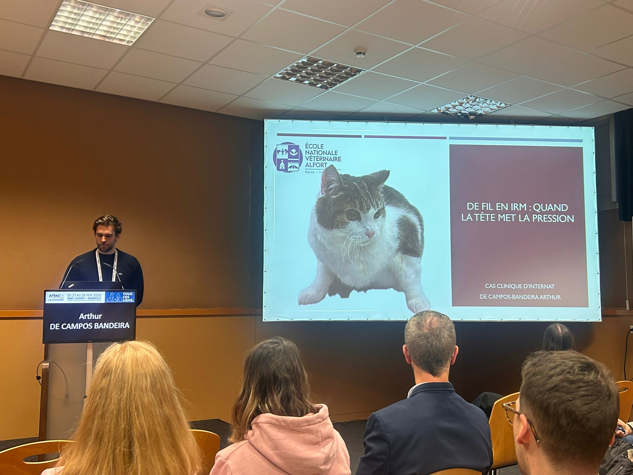 96386827 7546 424c 9ce3 c812f9bdbd9f