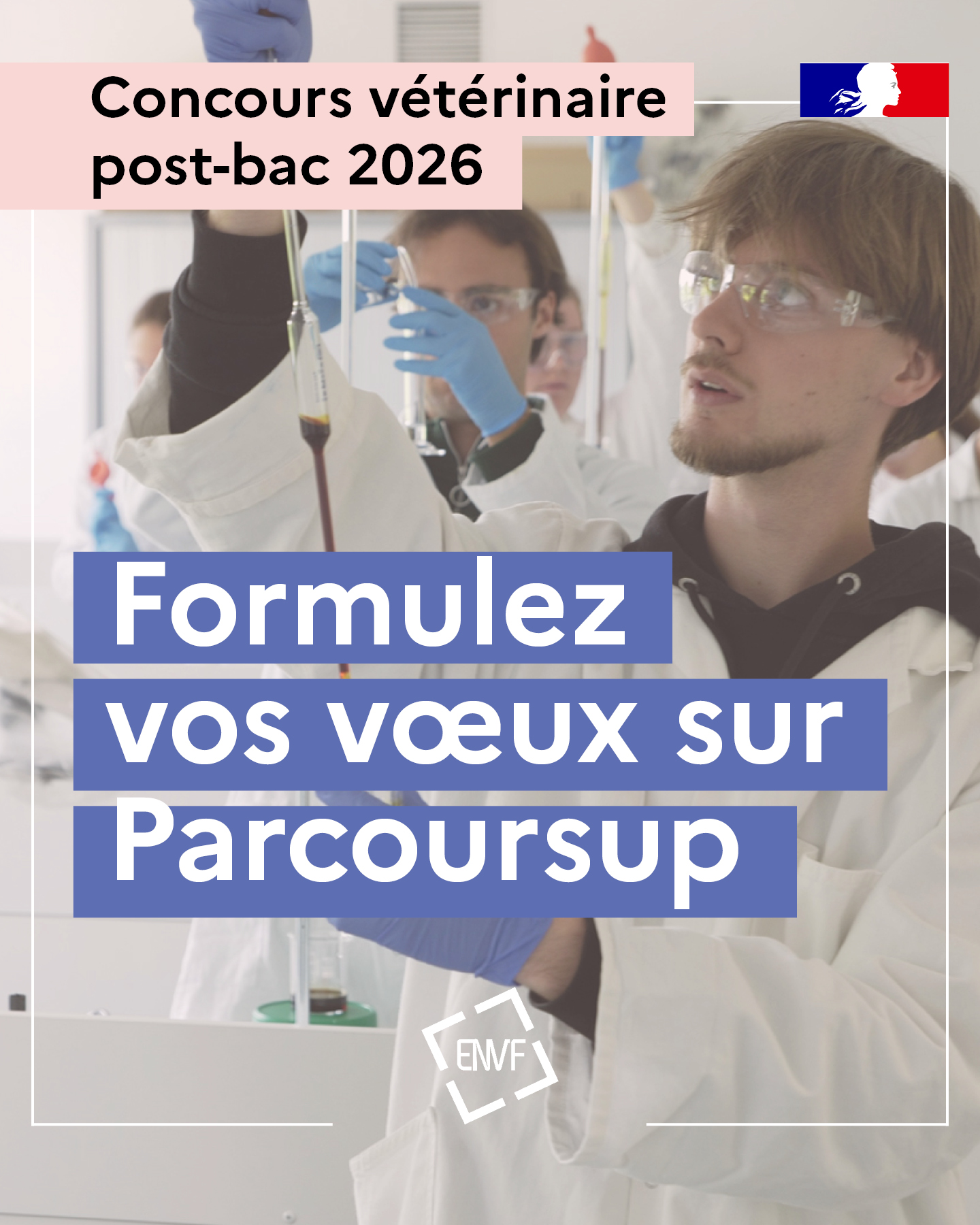 2026 01 19 Concours PB IG feed