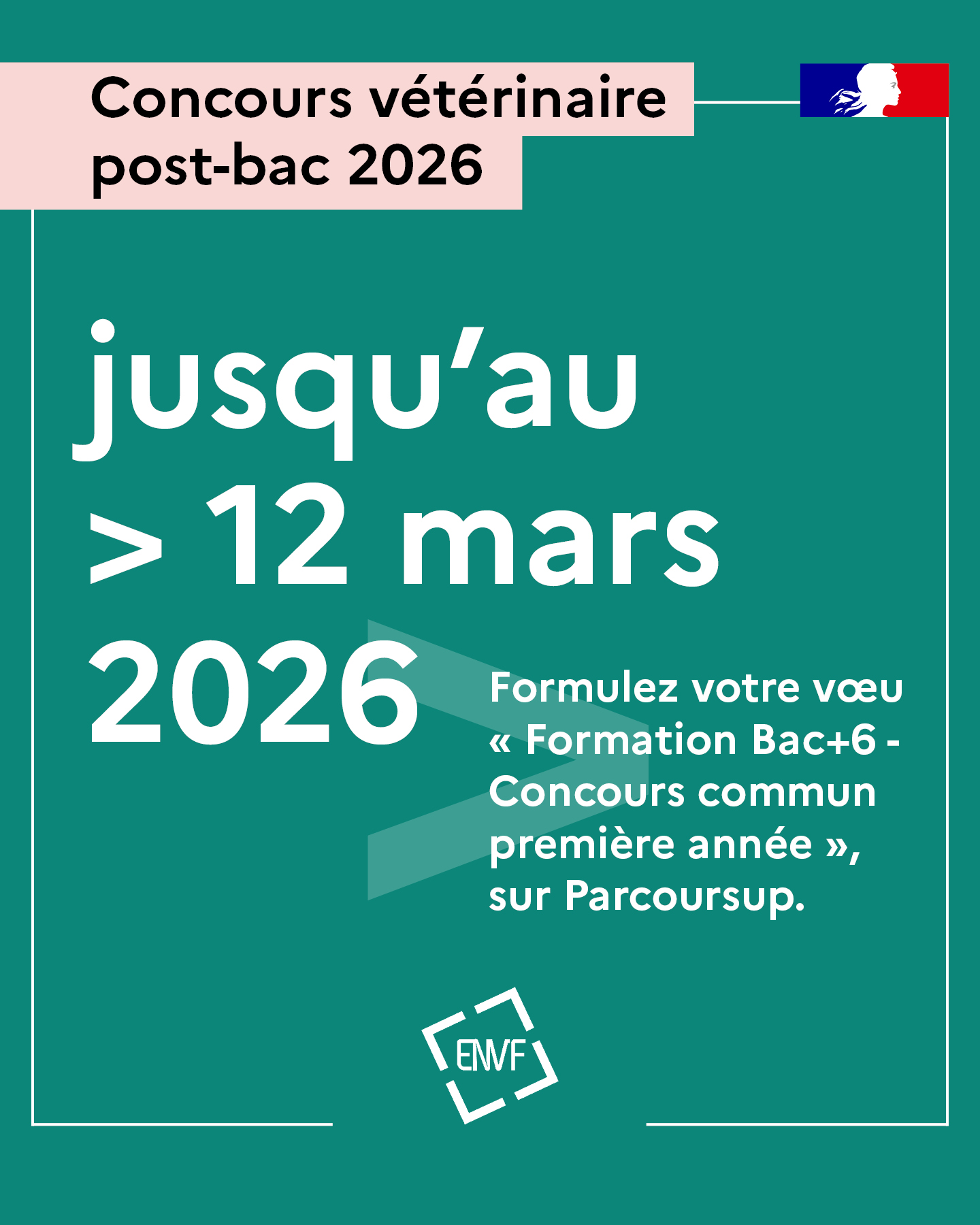 2026 01 19 Concours PB IG feed3