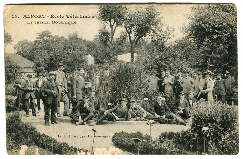 Le jardin botanique