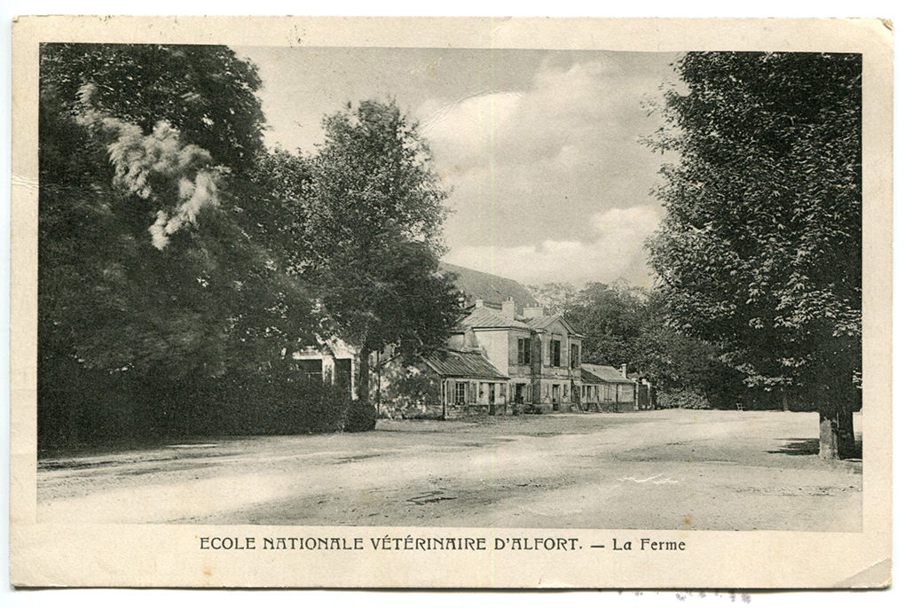 La ferme