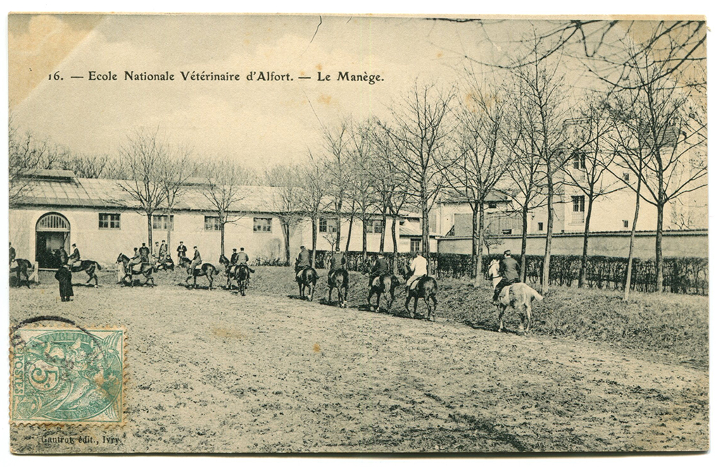 Le manège