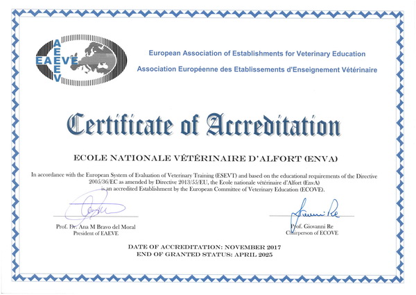 a3ev certif accreditation