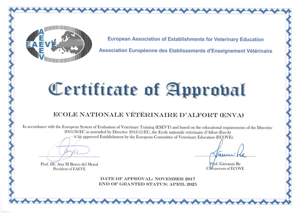 a3ev certif approval