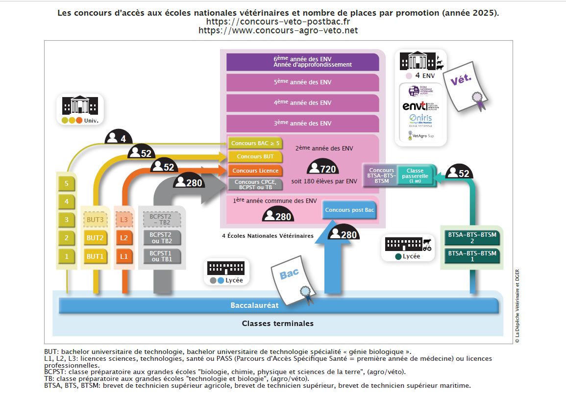 schema voies dacces