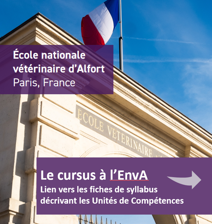 Lien syllabus
