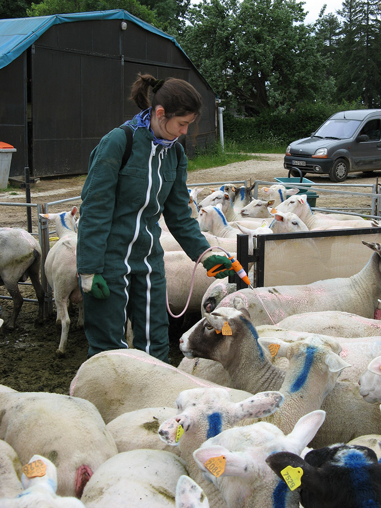 Des stages tout au long du cursus