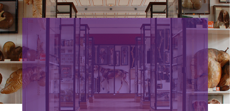 Découvrez le musée Fragonard