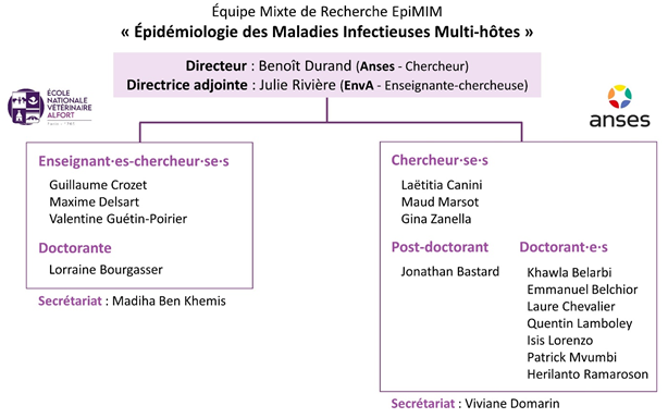organigramme_EpiMIM.jpeg