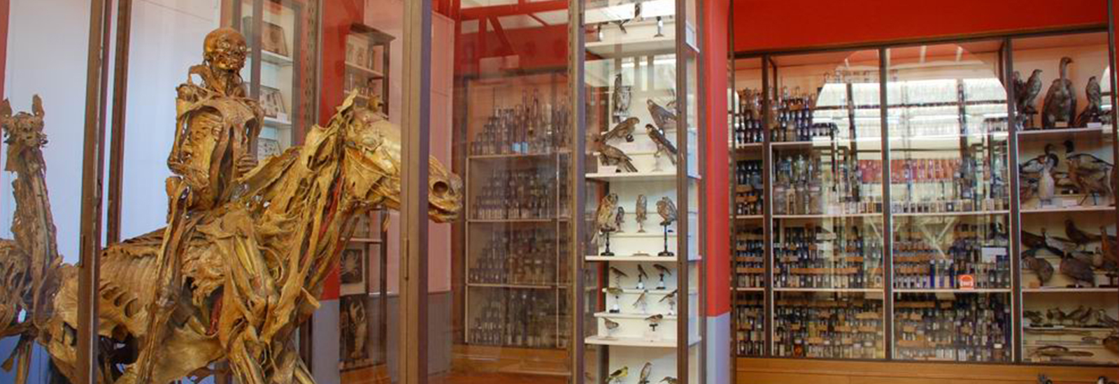 musée Fragonard