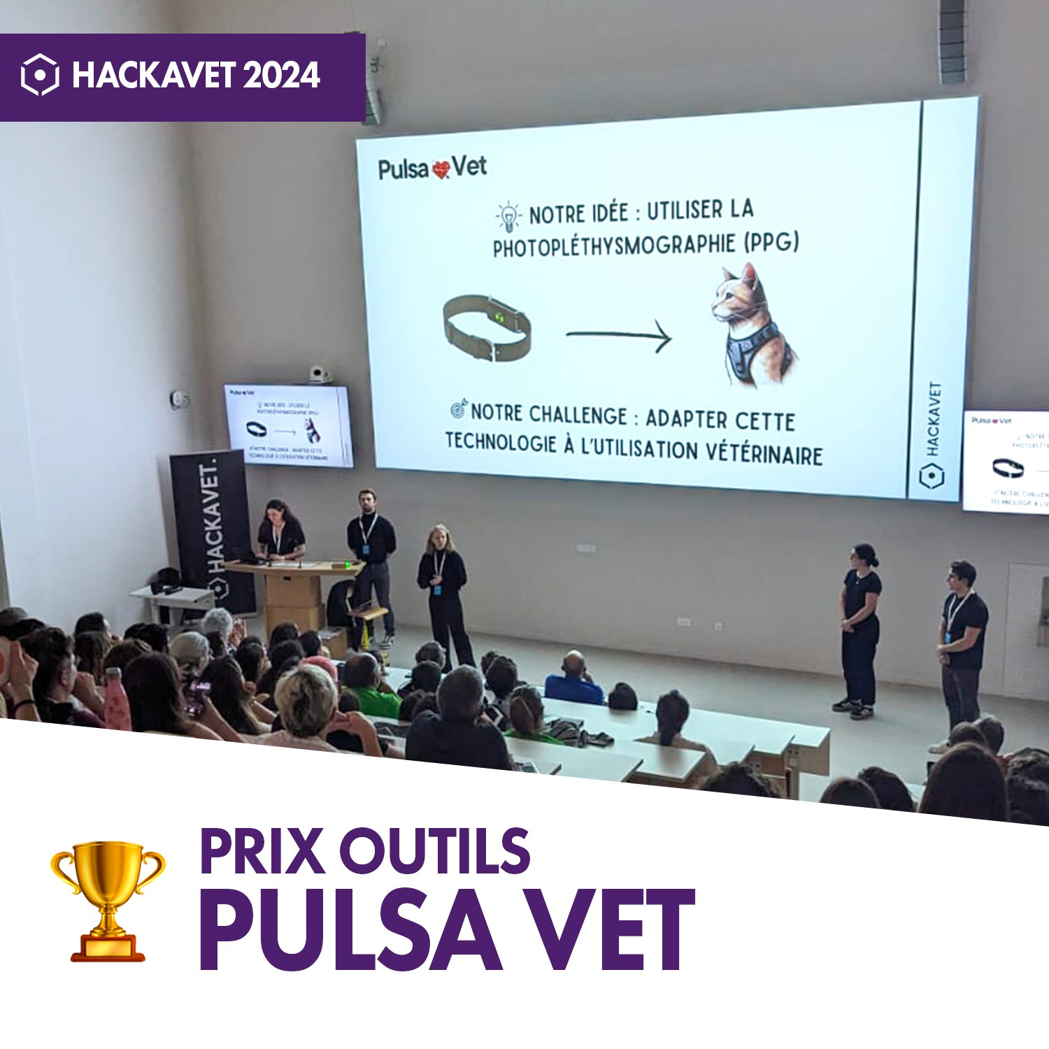 prix outils hackavet 2024