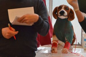 Aidez-nous à développer la simulation médicale !